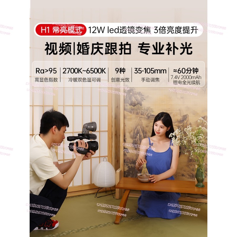 12W On‑Camera Flash Light, Dua - Photography Using Lighting のレビューと価格