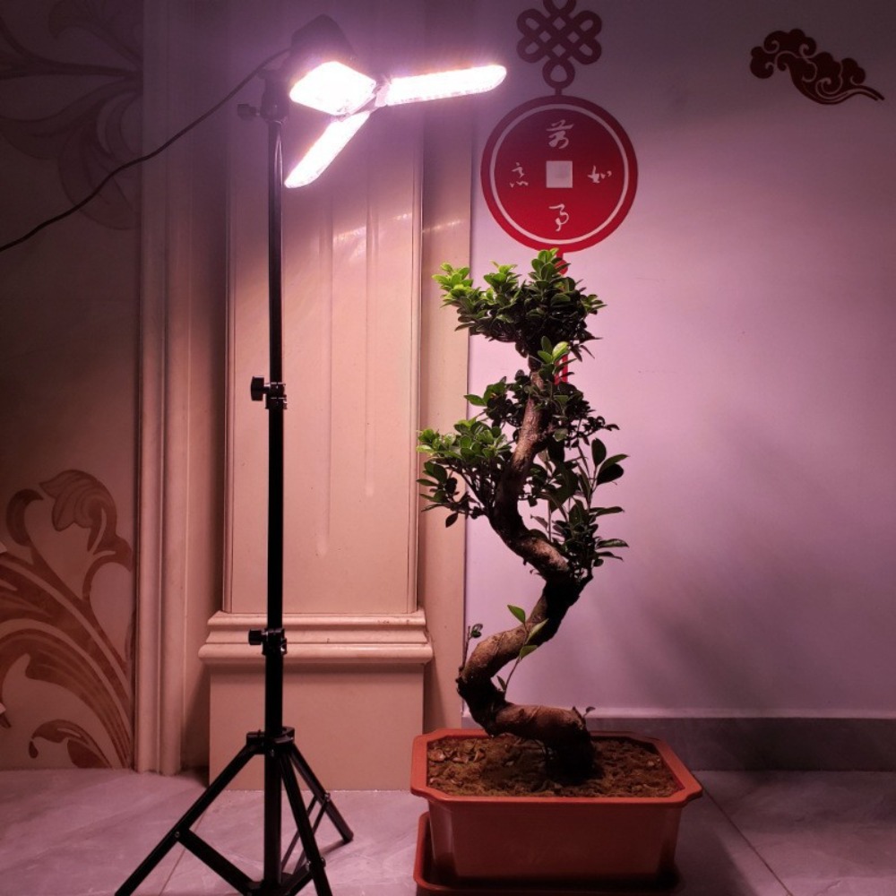 Light Bulb Stand 2M, E27 AC So - Photography Lighting With Umbrella のレビューと価格