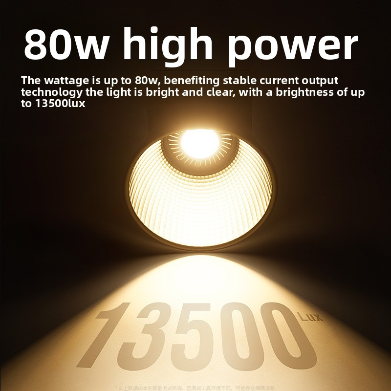 ZU80 80w Handheld Exterior Lam - Photography Lighting Meter のレビューと価格